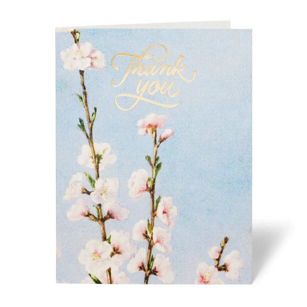 American Florals Thank-You Cards*The Met Store Best Sale