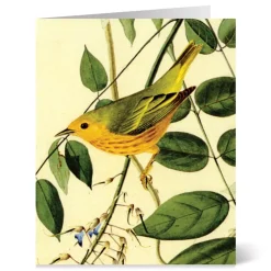 Audubon Birds Notecards*The Met Store Clearance