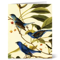 Audubon Birds Notecards*The Met Store Clearance