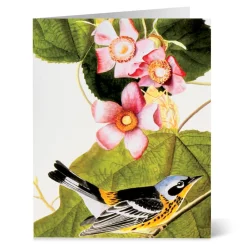 Audubon Birds Notecards*The Met Store Clearance