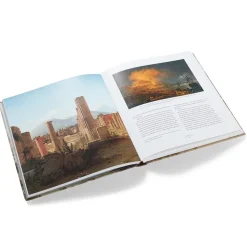 Beyond the Light: Identity and Place in Nineteenth-Century Danish Art*The Met Store Outlet