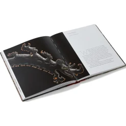 Lives of the Gods: Divinity in Maya Art*The Met Store Cheap