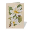 Studies of Magnolias Quilled Card*The Met Store Cheap