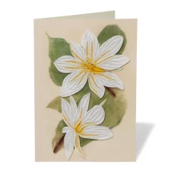 Studies of Magnolias Quilled Card*The Met Store Cheap
