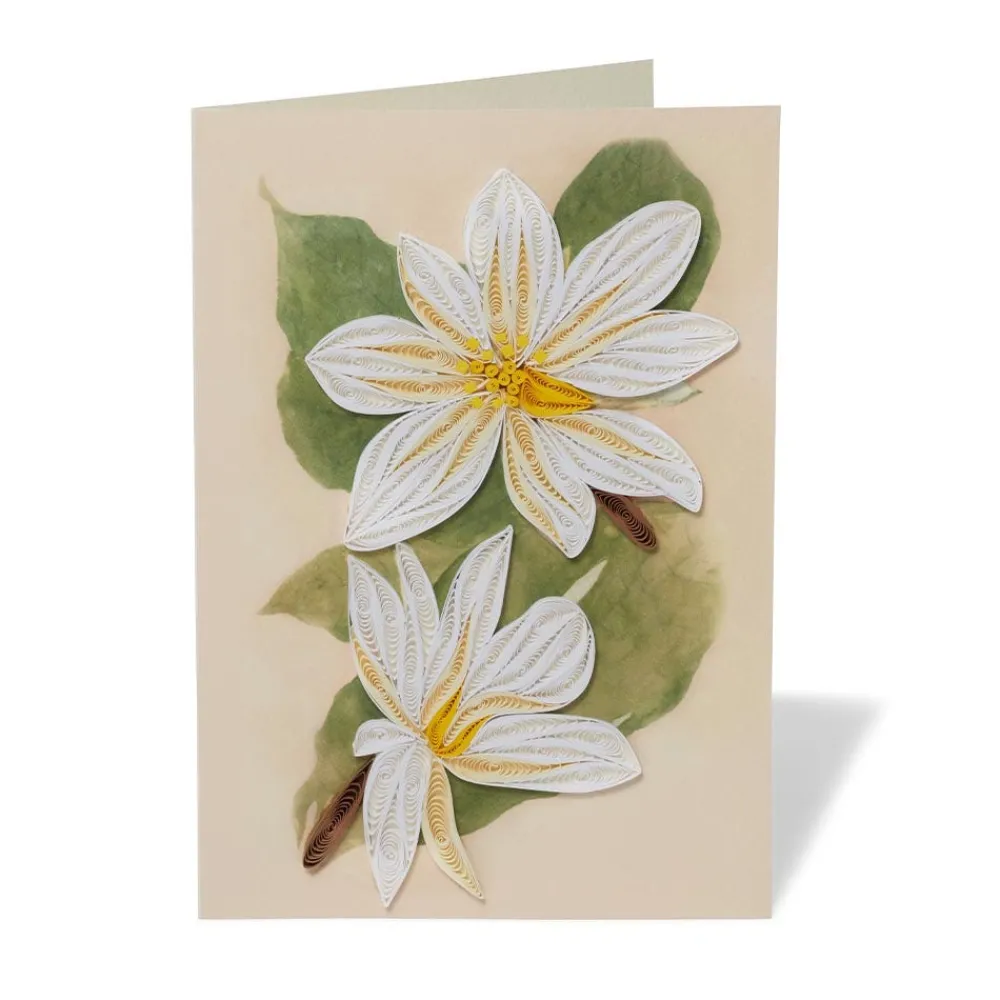 Studies of Magnolias Quilled Card*The Met Store Cheap