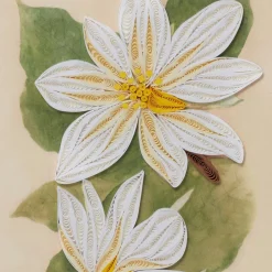 Studies of Magnolias Quilled Card*The Met Store Cheap