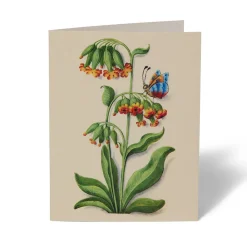 The Met Cloisters Garden Notecards*The Met Store Flash Sale