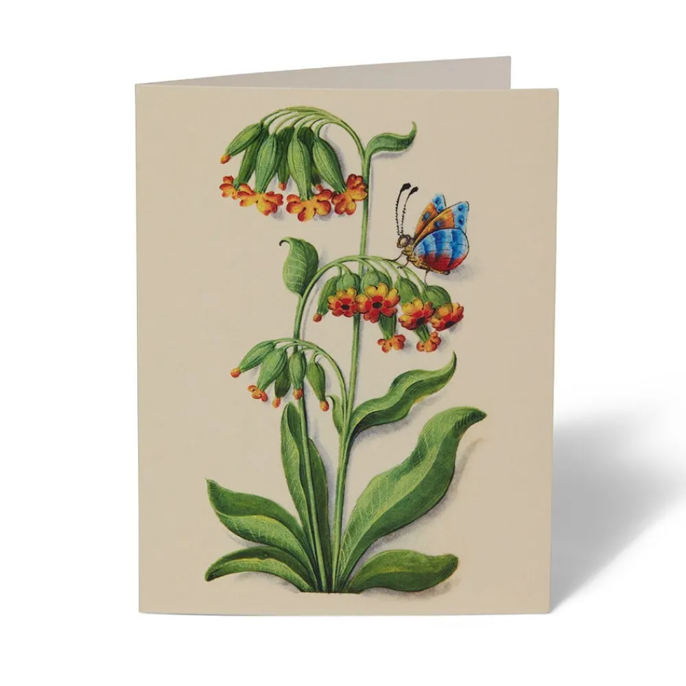 The Met Cloisters Garden Notecards*The Met Store Flash Sale
