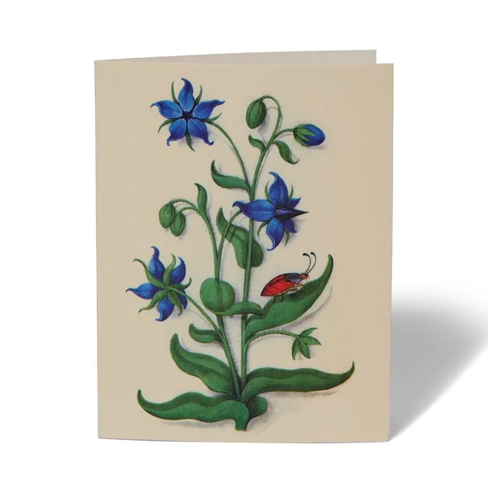 The Met Cloisters Garden Notecards*The Met Store Flash Sale