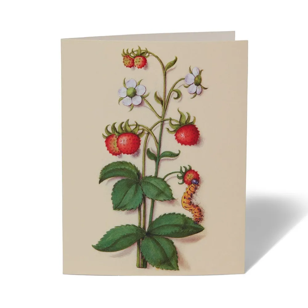 The Met Cloisters Garden Notecards*The Met Store Flash Sale