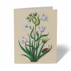 The Met Cloisters Garden Notecards*The Met Store Flash Sale