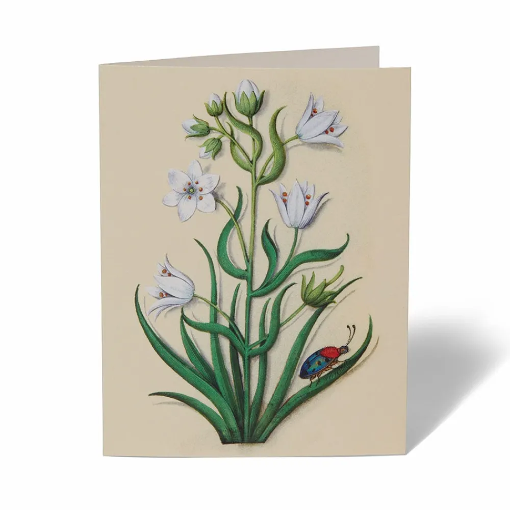 The Met Cloisters Garden Notecards*The Met Store Flash Sale