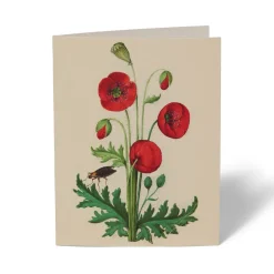 The Met Cloisters Garden Notecards*The Met Store Flash Sale