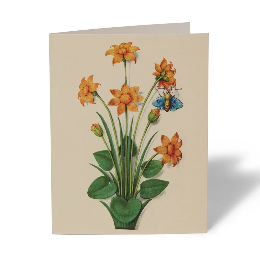The Met Cloisters Garden Notecards*The Met Store Flash Sale