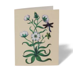 The Met Cloisters Garden Notecards*The Met Store Flash Sale