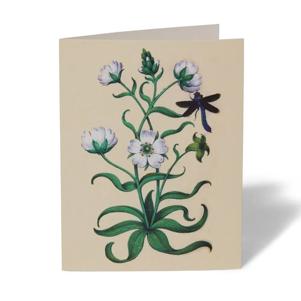 The Met Cloisters Garden Notecards*The Met Store Flash Sale