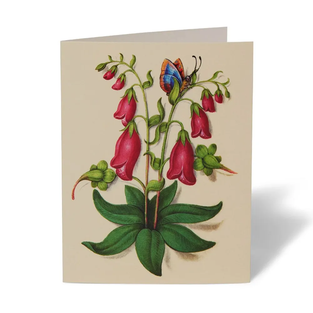 The Met Cloisters Garden Notecards*The Met Store Flash Sale