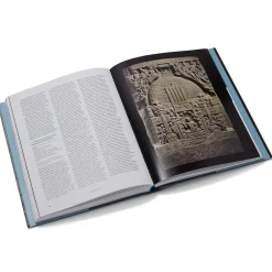 Tree & Serpent: Early Buddhist Art in India*The Met Store Outlet