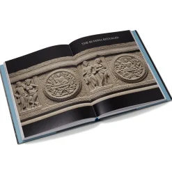 Tree & Serpent: Early Buddhist Art in India*The Met Store Outlet